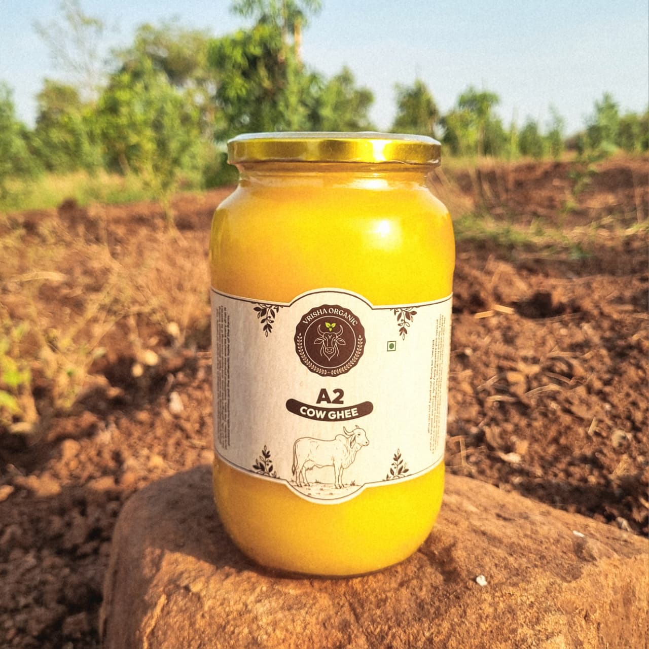 A2 Bilona Cow Ghee