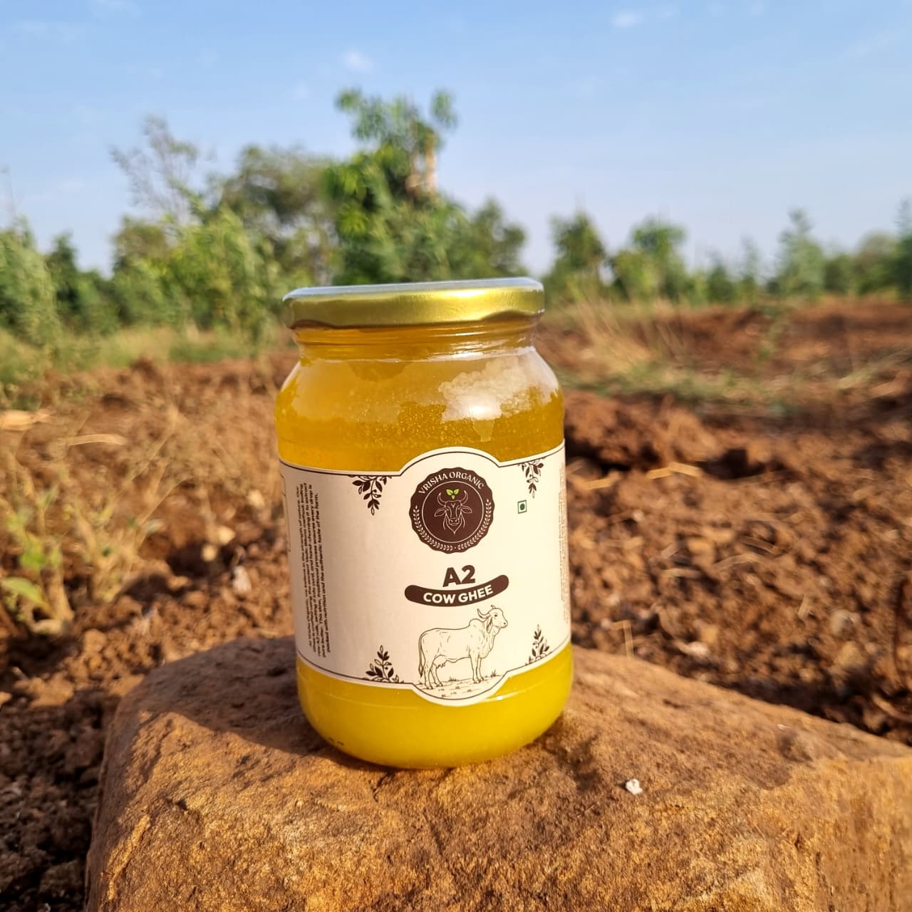 Vrisha Organic A2 Bilona Cow Ghee, 500 ml jar